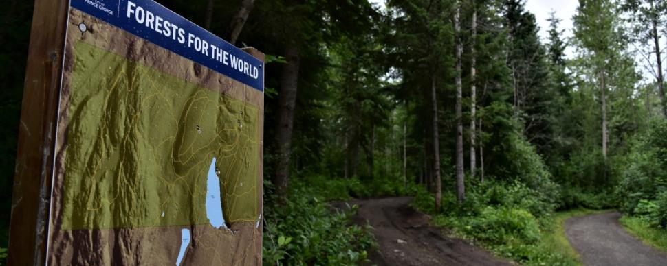 Forests for the World 